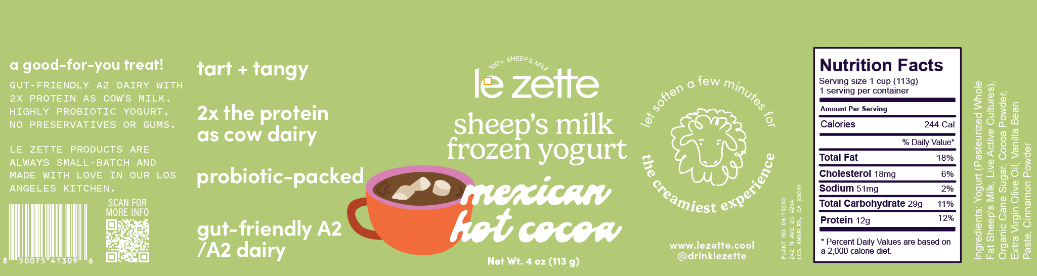 Mexican Hot Cocoa Froyo