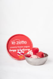 Tangy Raspberry Swirl Froyo