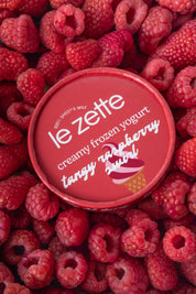 Tangy Raspberry Swirl Froyo