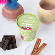 Mexican Hot Cocoa Froyo